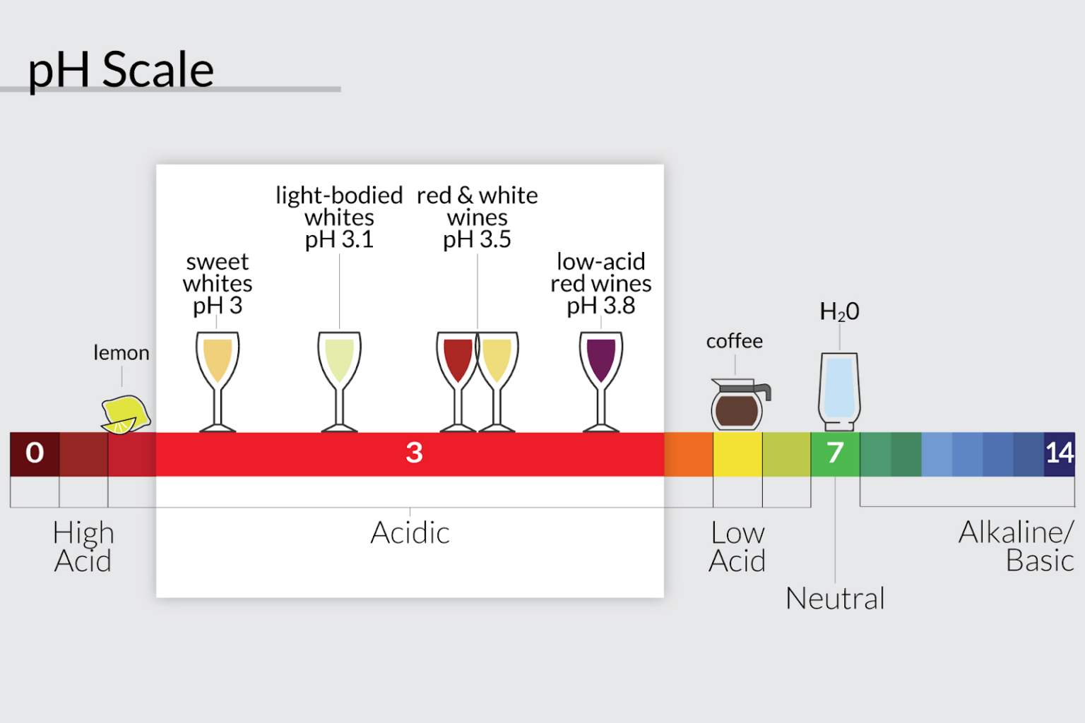 Panduan Dasar Wine Food Pairing Cara Pilih Jenis Wine