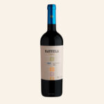 Viu manent rayuela reserva merlot 21 Merlot / Colchagua Valley 2021 750 ml