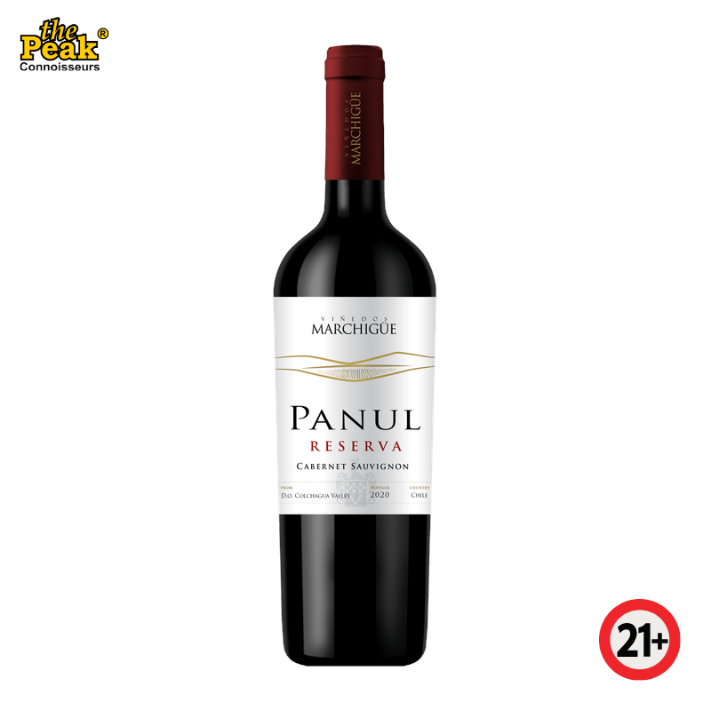 panul-carmenere-2022-chile-750ml Panul Carmenere 2022 Chile 750ml - Image 1