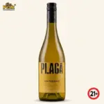 Plaga Chardonnay Indonesia