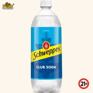 Foto Schweppes Soda Water 250 ml di atas latar belakang netral Peakwine
