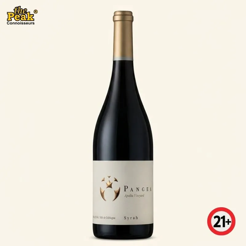 ventisquero-pangea-syrah-chile Ventisquero Pangea Syrah Chile